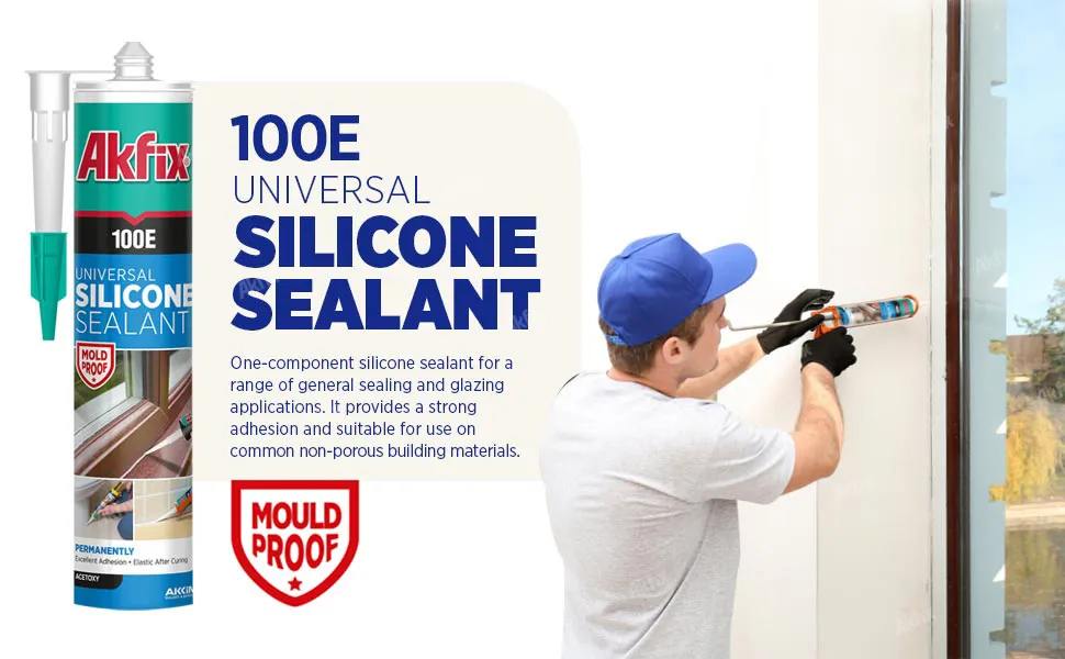 100E Genel Amaçlı Silikon